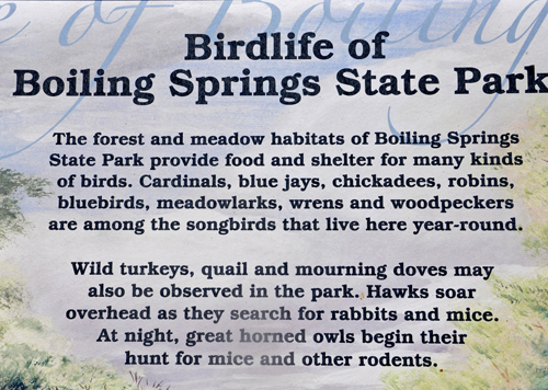 sign about the bird life at Boiling Springs State Park