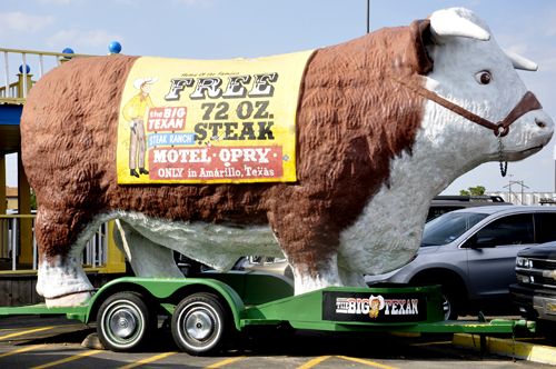 large cow advertising the 72 ounce steak