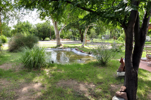 the pond in the Two RV Gypsies' yard in NM