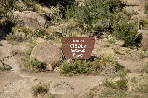 sign: Entering Cibola National Forest