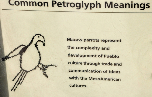 sign: comon petroglyph meanings - Macaw