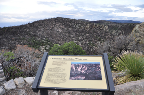 sign: Chiricahua Mountains Wilderness