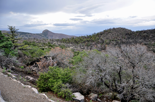 view of Chiricahua Mountains Wilderness
