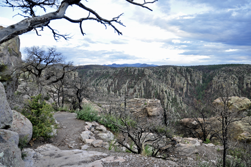 more amazing scenery at Chiricahua National Park
