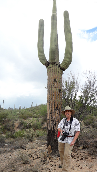 Karen Duquette b a big Saguaro Cactus