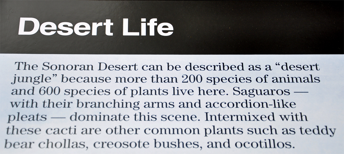 sign about the Sonoran Desert