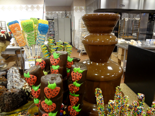 chocolate fountain and other delights