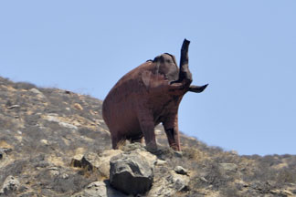 a giant mammoth on a hill