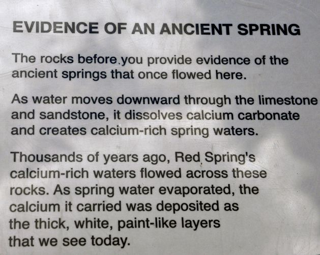 sign: evidence of an ancient spring