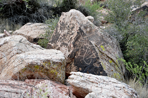 petroglyphs on a rock