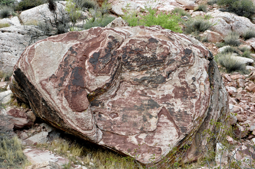 a big fallen rock