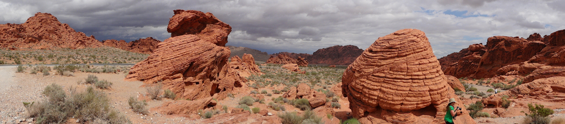 Beehives at Valley of Fire State Park