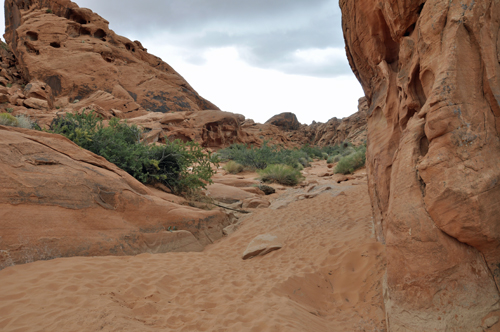 the sandy bottom of the Petroglyph Canyon Trail