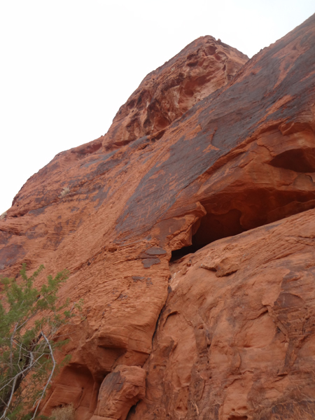 cliffs at Petroglyph Canyon trail