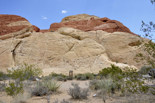 An outcrop of Aztec Sandstone