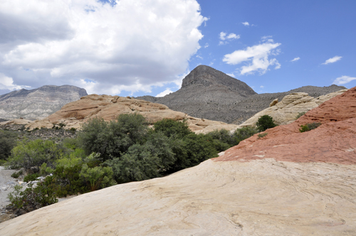 colorful scenery at Red Rock Canyon National Conservation area