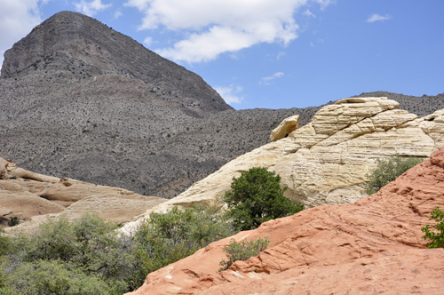 colorful scenery at Red Rock Canyon National Conservation area