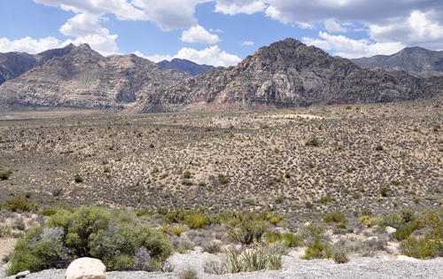 driving along the loop road at Red Rock National Conservation area