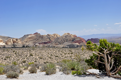 looking back at the Calico Hills Overlook #2