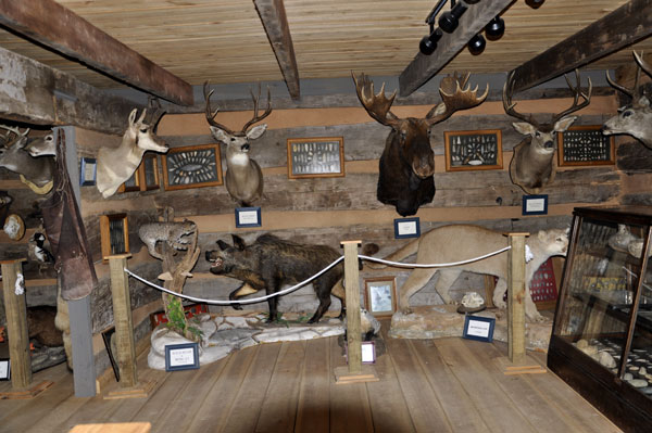 inside the Wildlife Center at Historic Collinsville