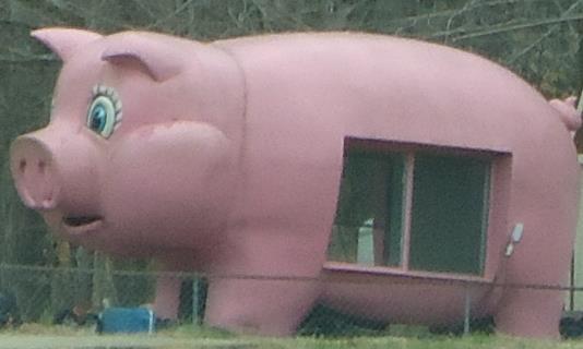 a giant pink pig