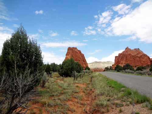 2 formations in Grand Parade area of the Kodachrome Basin