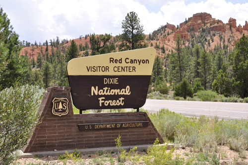 sign: Dixie National Forest