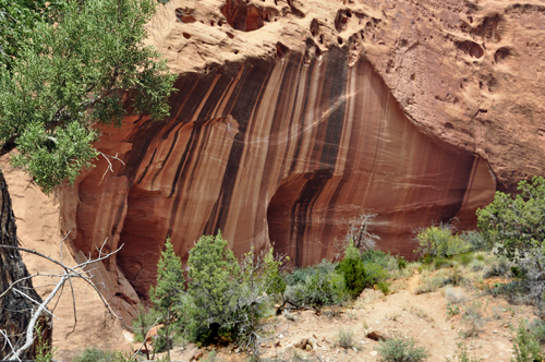 scenery on the Grand Staircse-Escalante