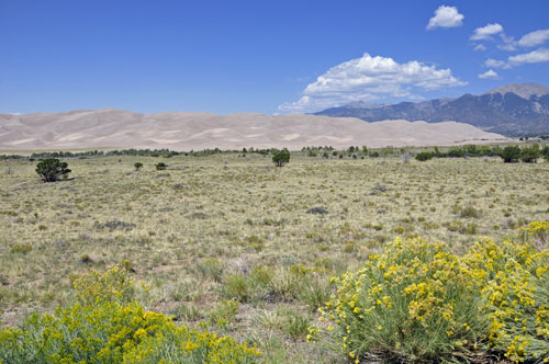 view of the sand dunes from the Visitor's Center