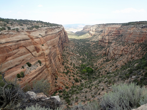 a valley at Red Canyon Overlook at Colorado National Monument