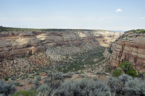 scenery at Colorado National Monument