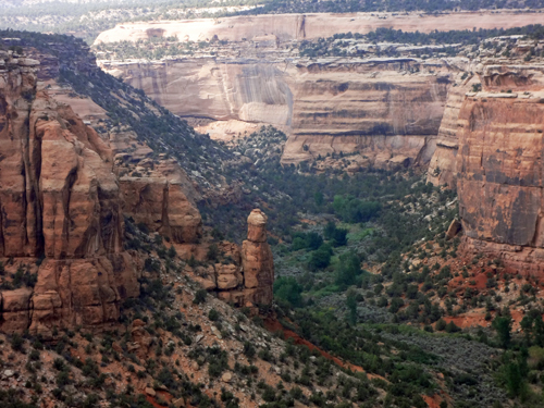 scenery at Ute Canyon Overlook in Colorado National Monument