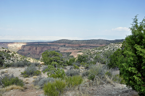 scenery from Highland View in Colorado National Monument