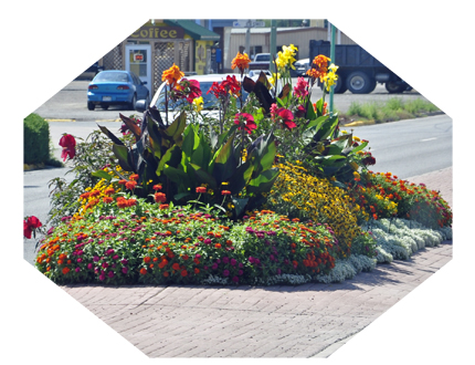 flowers in the ceenter of the road in Delta, Colorad