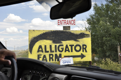 sign: Alligator Farm entrance
