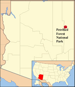 map showing location of the Petrified Forest in Arizona USA
