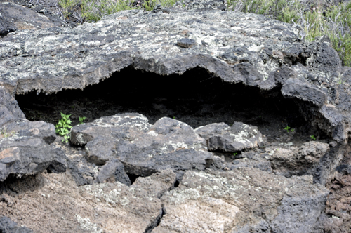 volcanic rock on The Lava Flow Trail
