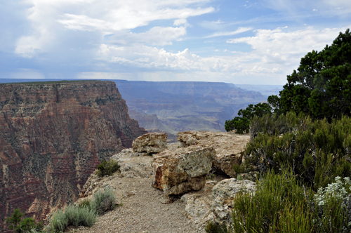 view of the Grand Canyon from Lipan Point
