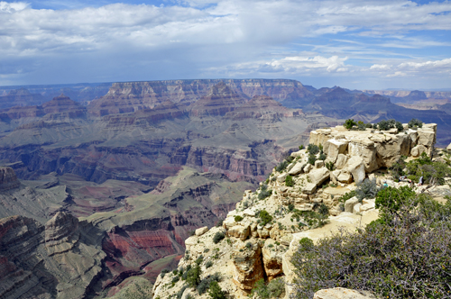 view of the Grand Canyon from Moran Point