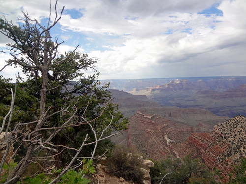  view of the Grand Canyon from Grandview Point