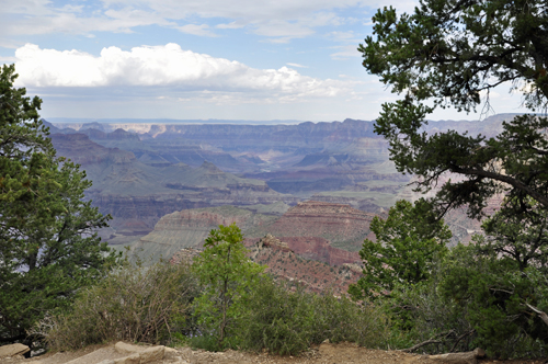 view of the Grand Canyon from Grandview Point