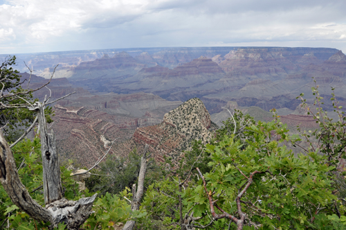 view of the Grand Canyon from Grandview Point