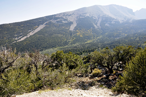 scenery at Mather Overlook at Great Basin National Park
