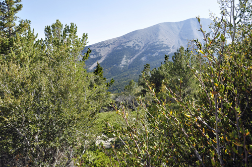 scenery seen from Wheeler Peak Overlook at Great Basin National Park