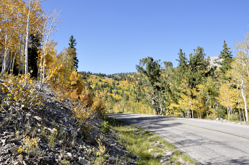 scenery from Summit trailhead - fall foliage