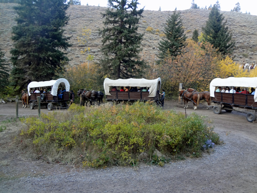 The covered wagons form a safety circle