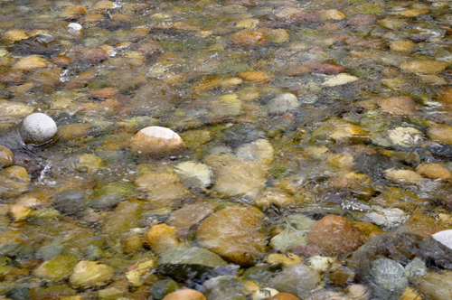 crystal clear water in the creek