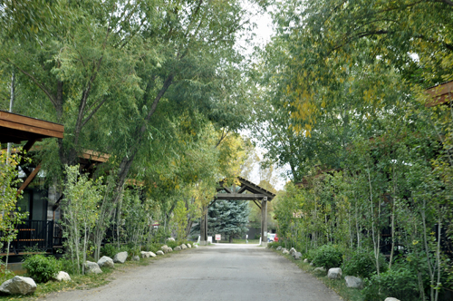 cabins in entrance of Jackson Hole campground
