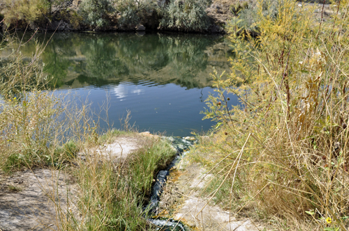 White Sulphur Spring trickles out of the travertine and into the Big Horn River.