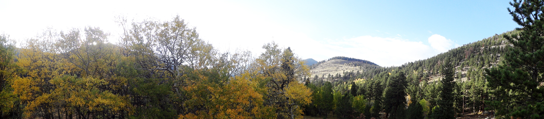 fall foliage at Rocky Mountain National Park